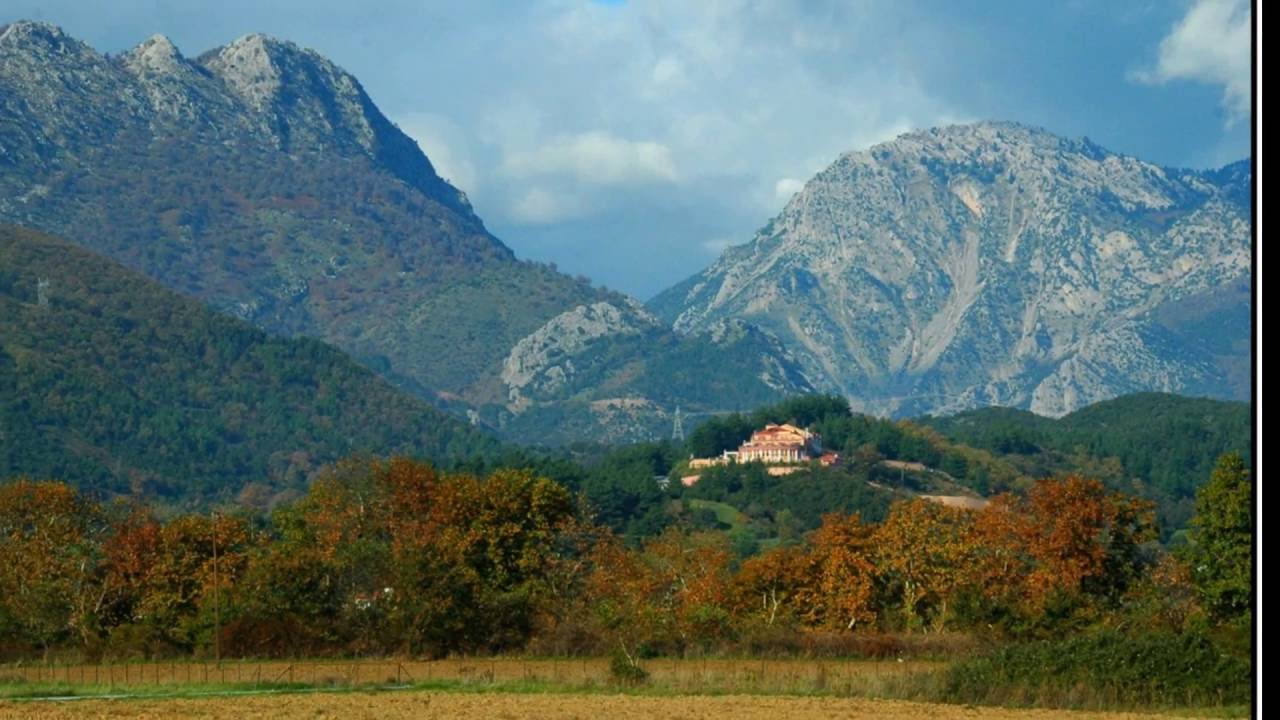ΦΙΛΙΩ ΠΥΡΓΑΚΗ ΜΑΝΑ ΜΕ ΤΑ ΠΟΛΛΑ ΠΑΙΔΙΑ \\ ΠΙΑ ΣΚΥΛΑ ΜΑΝΑ ΤΟ ΛΕΓΕ