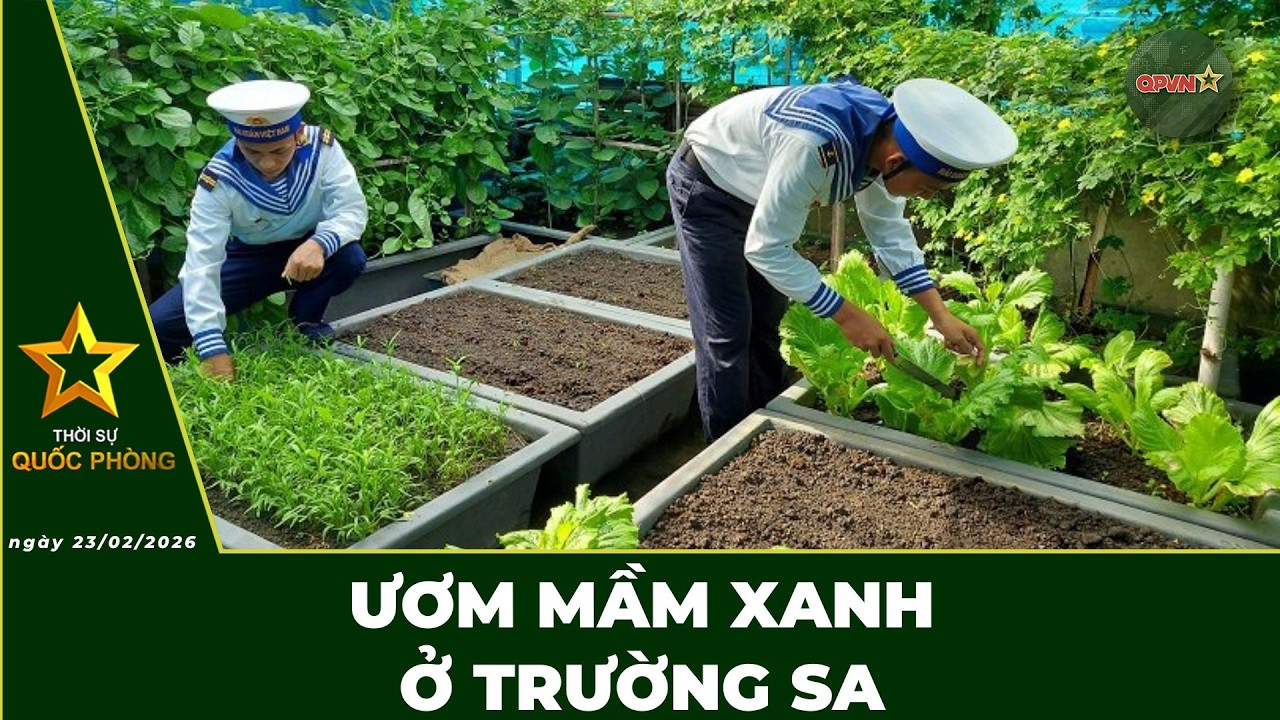 🔴 Trực Tiếp | Bản Tin Trưa 23.02: Uơm Mầm Xanh Ở Trường Sa | QPVN Digital