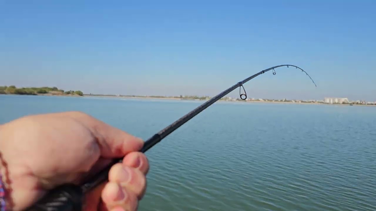 Pescuit Biban pe Lacul Morii Octombrie 2024. Captura surpriza
