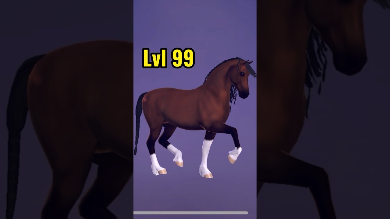Passage progression! Lvl 10-99! Equestrian the game! #equestrianthegame #etg #etgriders