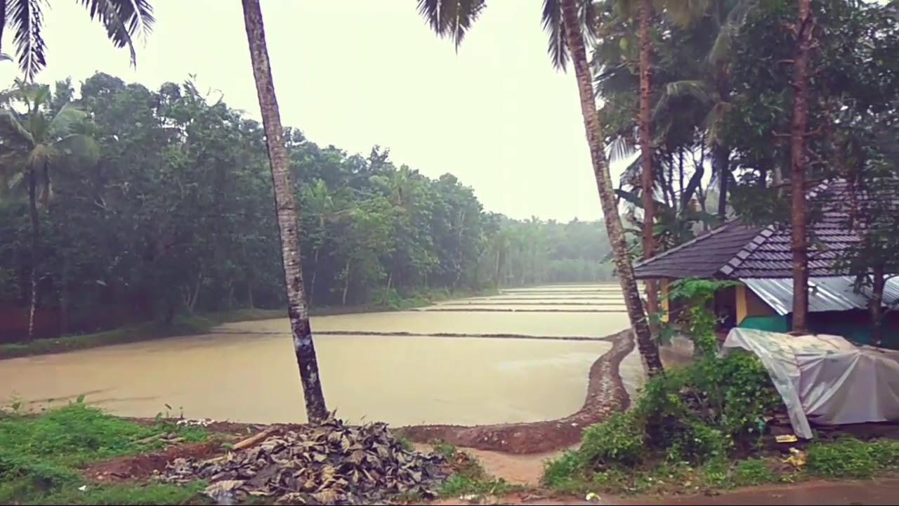 Puttamanna rural beauty