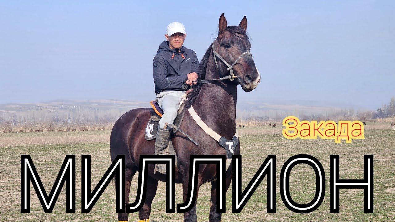 МИЛЛИОН ЗАКАДАН ЗВЕР АТ