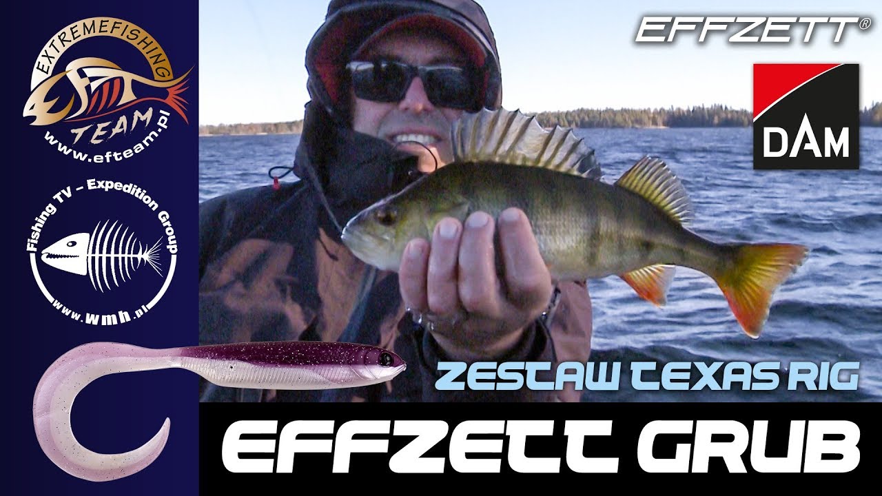 Przynęta na okonie  - Effzett Grub i zestaw Texas Rig