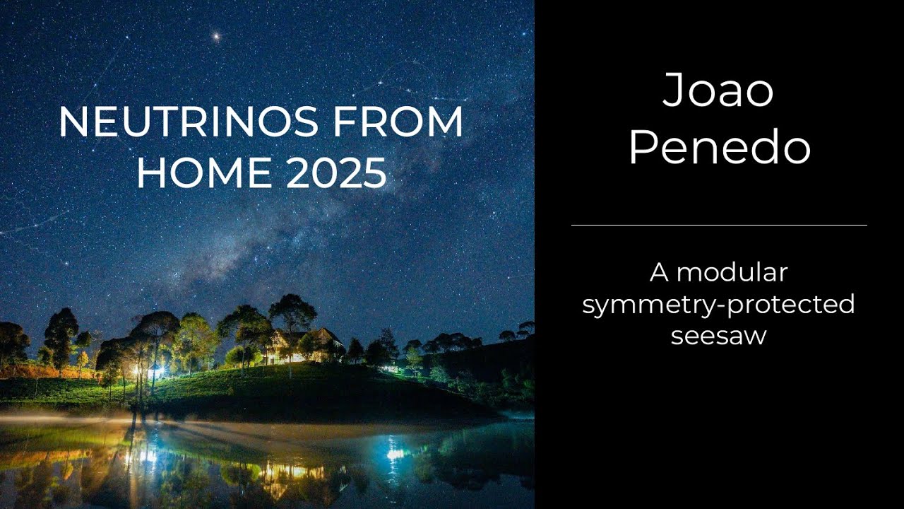 Joao Penedo - A modular symmetry-protected seesaw