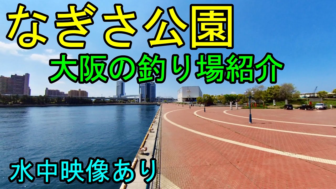 【大阪の海釣り】なぎさ公園の釣り場を水中映像付きで紹介します。