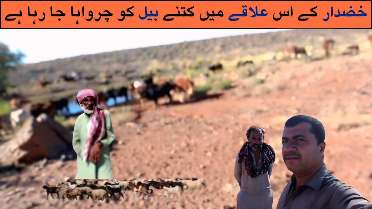 Nomadic village life Khuzdar Balochistan | Baloch khana Badosh zandagi 🔥Kech e Dastan