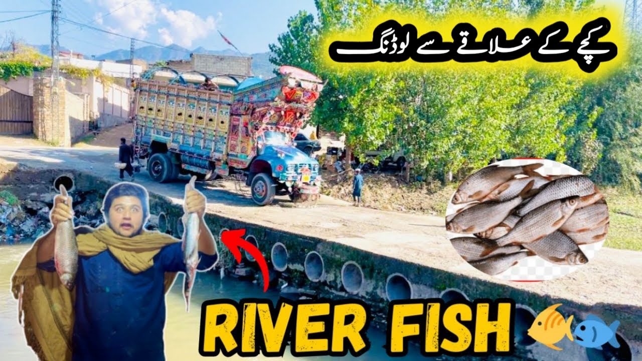 Kache Ke Ilake Se Loading 🚛, Driver Bhaion Ke Sath Dariya Ki Machli Khai 🐠