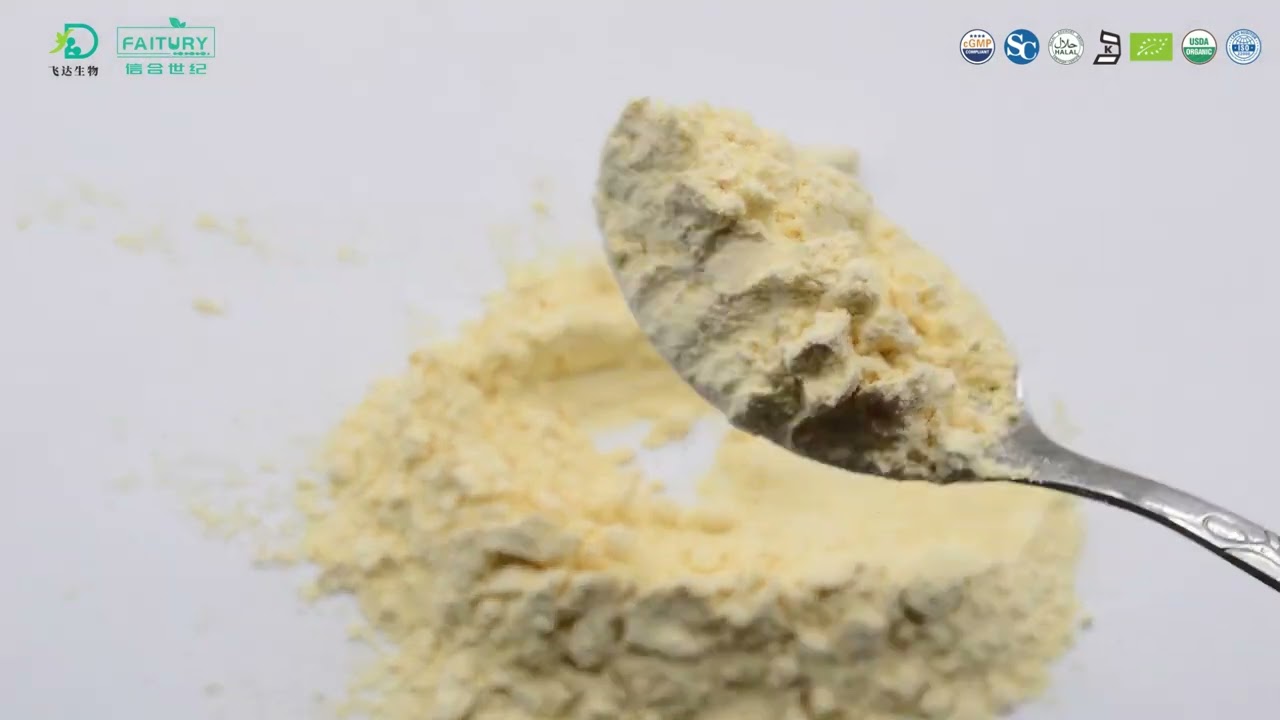 Sunflower lecithin 95% Sunflower Extract Powder