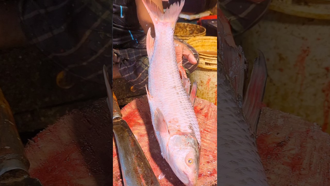 Amazing Mrigal Fish Cutting Skills In Fish Mar...