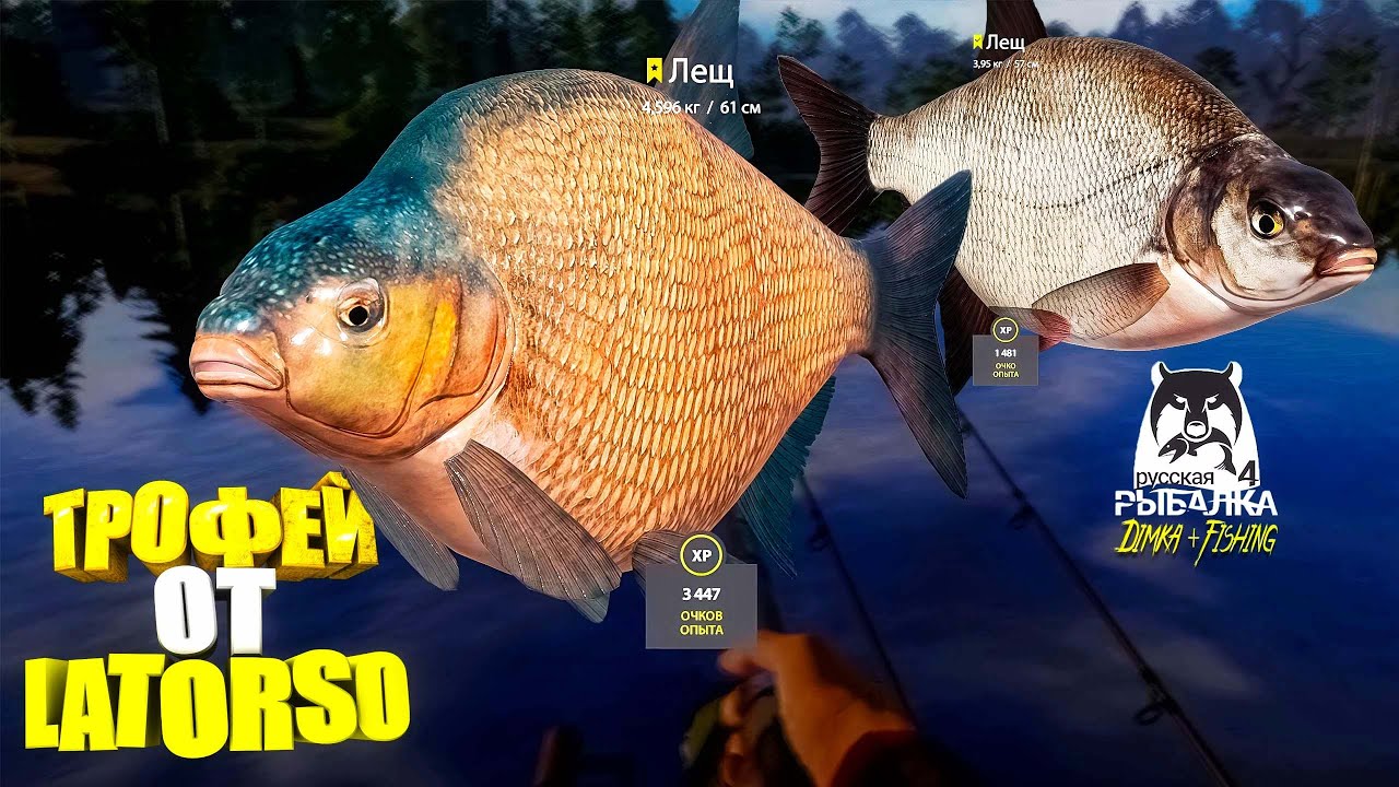 Русская рыбалка 4.🎣🦈 оз. Старый Острог 🐋🐳💦 ТРОФЕЙ от LATORSO 👀