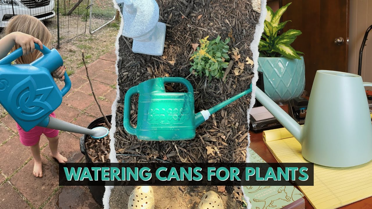 5 Best Watering Cans for Plants 2025! Grow Your Garden
