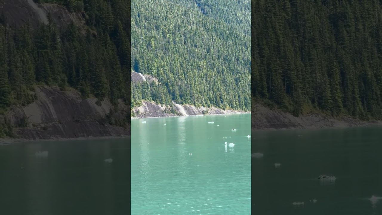 Alaskan cruise 2025- Endicott Arm