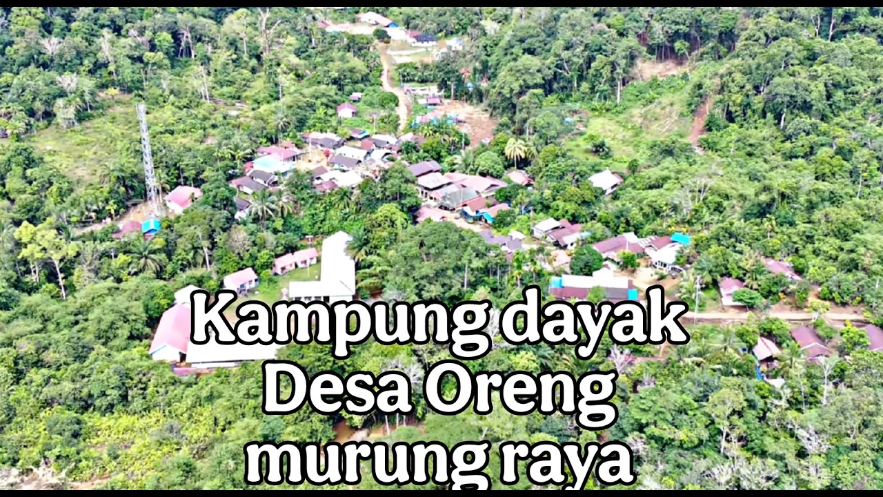 Suasana Perkampungan suku dayak siang Desa Oreng Di pedalaman Kalimantan yang Masih asri