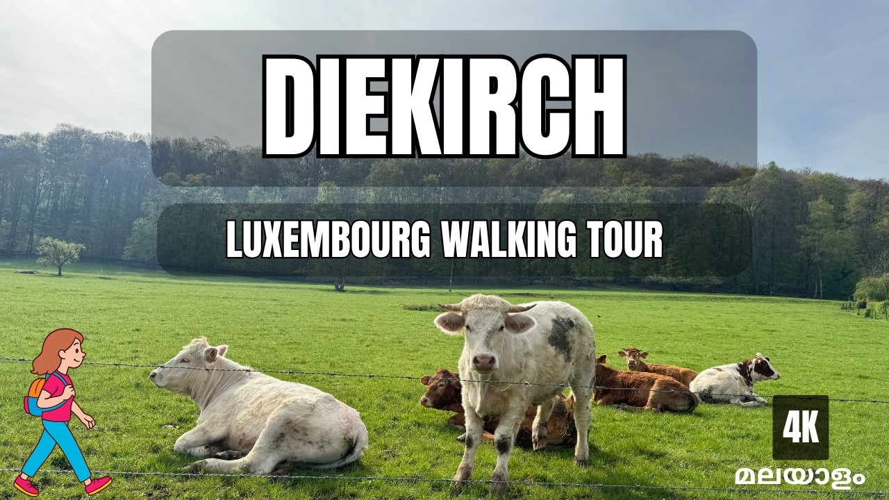 Diekirch Luxembourg Walking Tour 4K in Malayalam | Hidden Beauty, Riverside and Countryside Walks