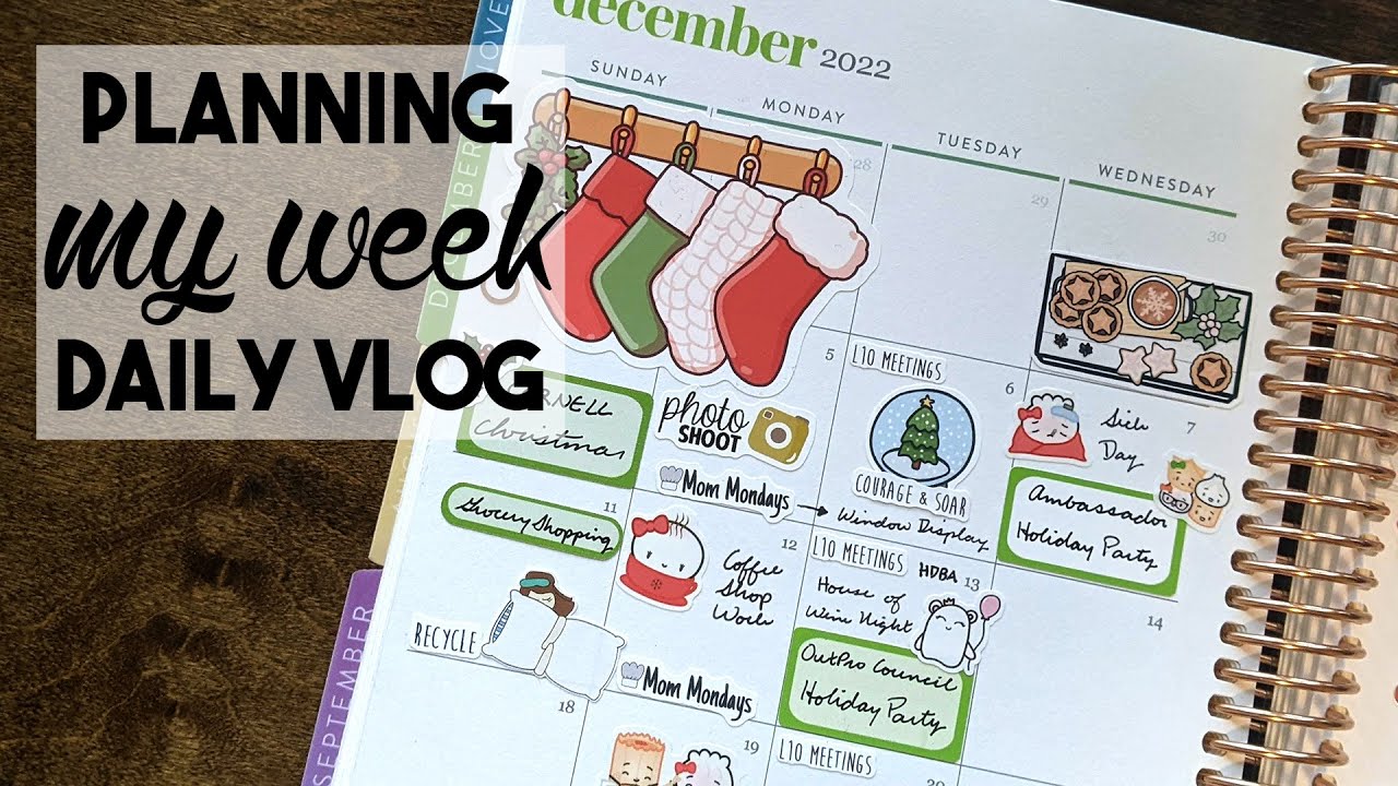 How I Plan Out My Week | DAILY VLOG