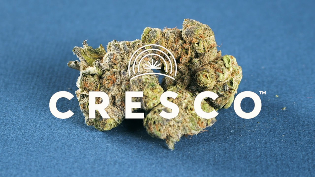 CrescoLabs Ad- Wedding Crasher