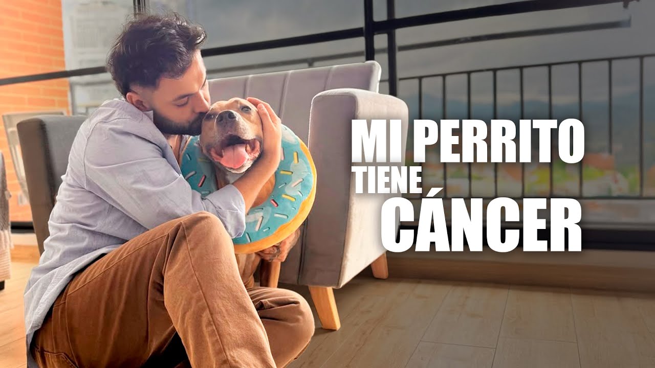Mi perro Magnus tiene CANCER - Camilo Triana