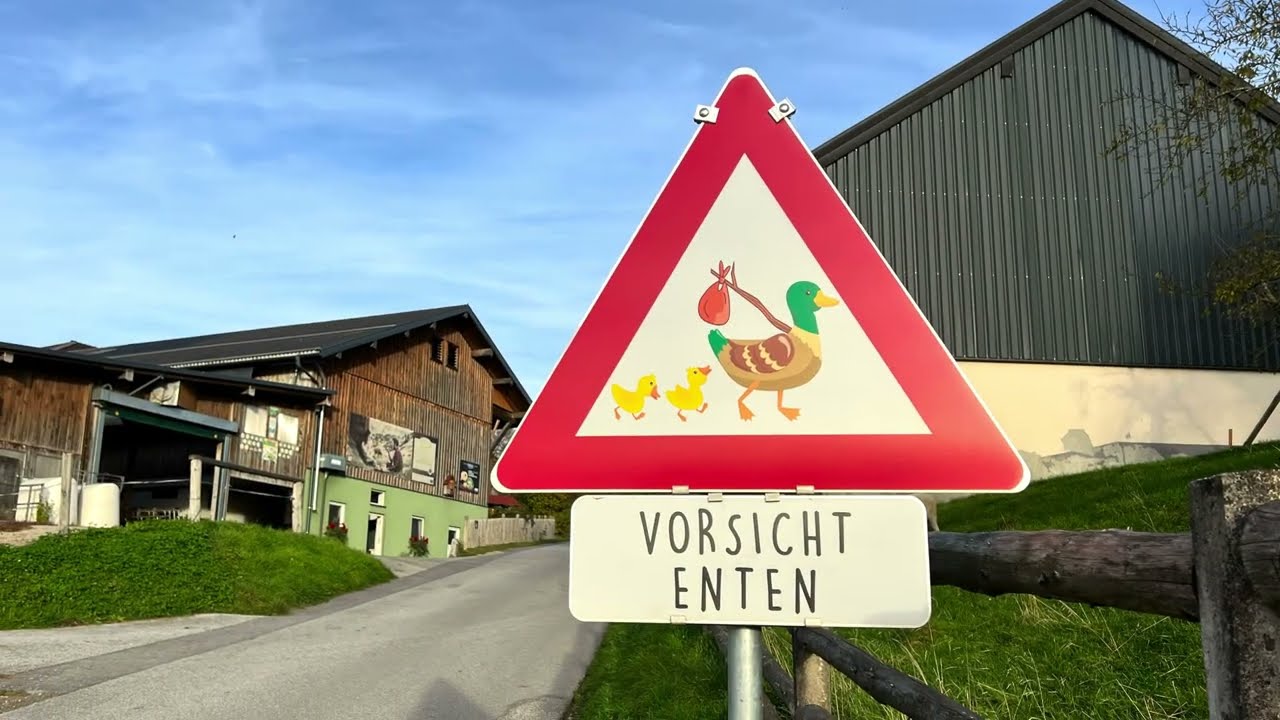 Neumarkt am Wallersee, Austria 🇦🇹 - Discovering the Enchanting Wallersee Lake - 4K