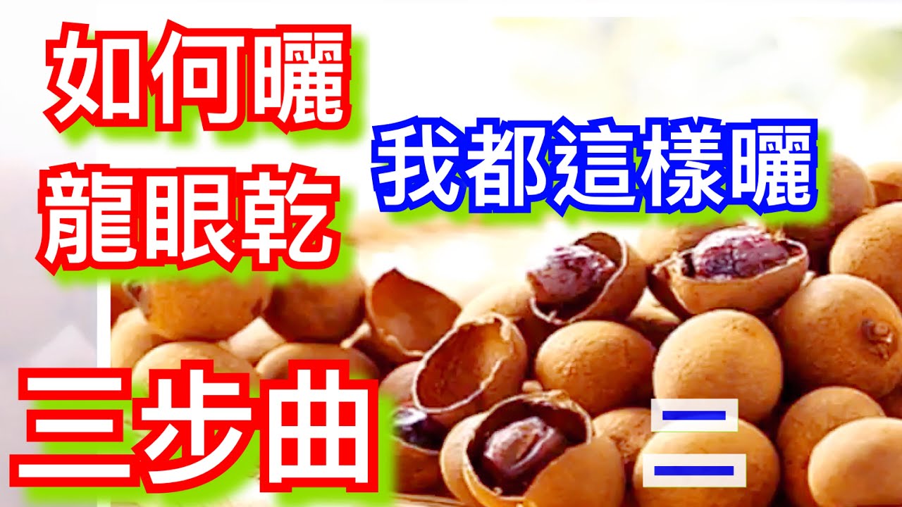 如何曬龍眼乾 第二步 非常天然好方便間單 其營養價值使你無法想像的 最近沒有雨 快快曬吧