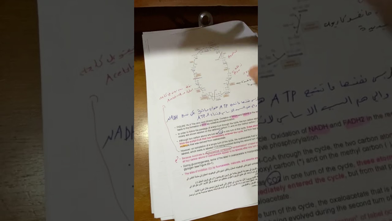 جابتر الثالث بايو كمستري ( citric acid cycle ) part 1