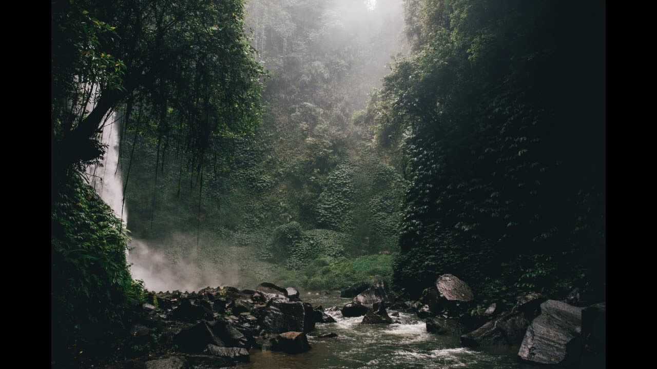 River in the forest