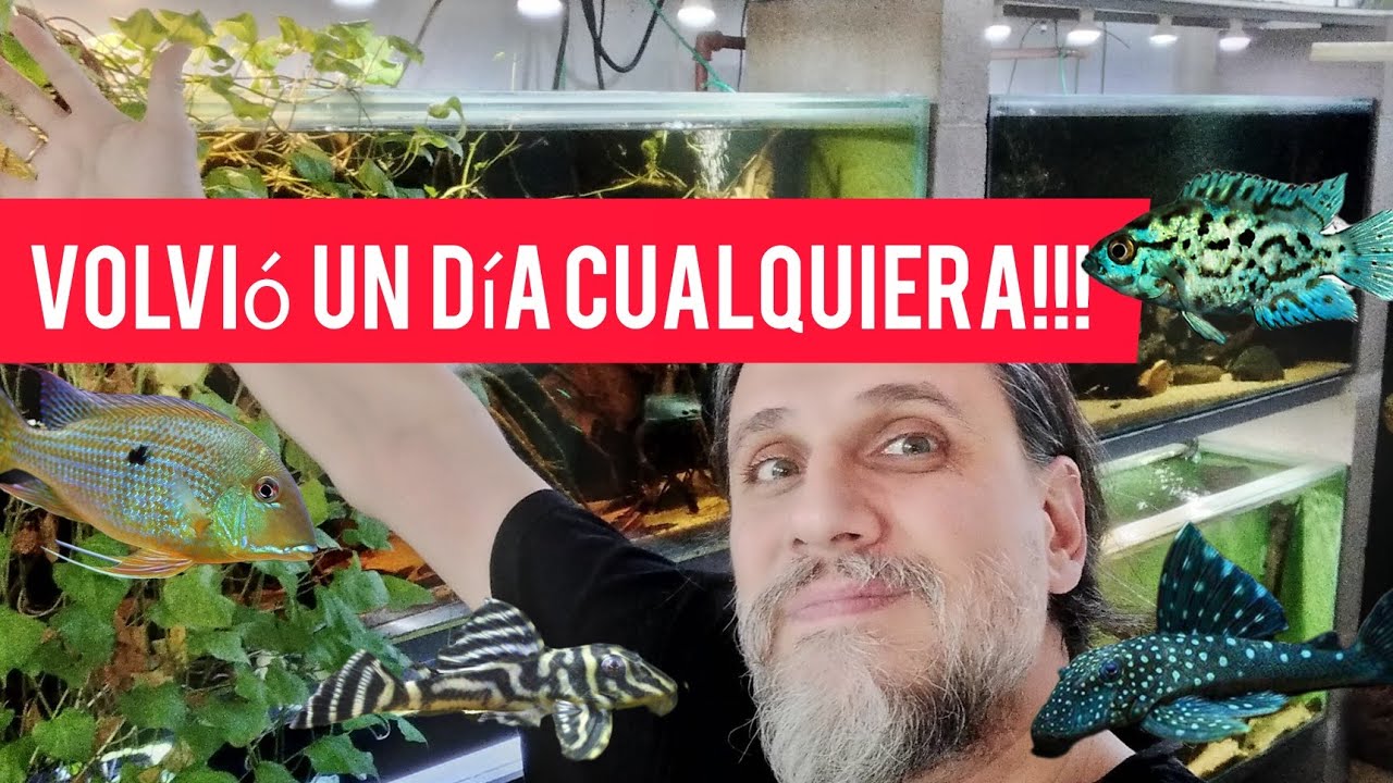 Un día cualquiera en Acuamanus #33