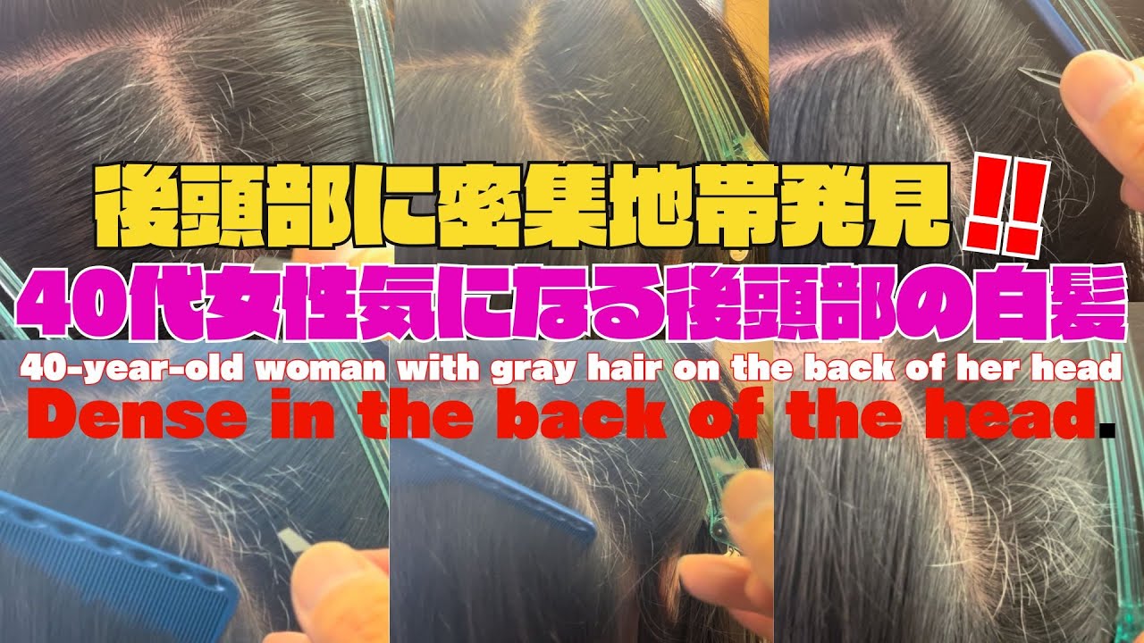 【白髪抜き動画】４時間掛けて全抜き白髪。1番多い後頭部１時間30分動画