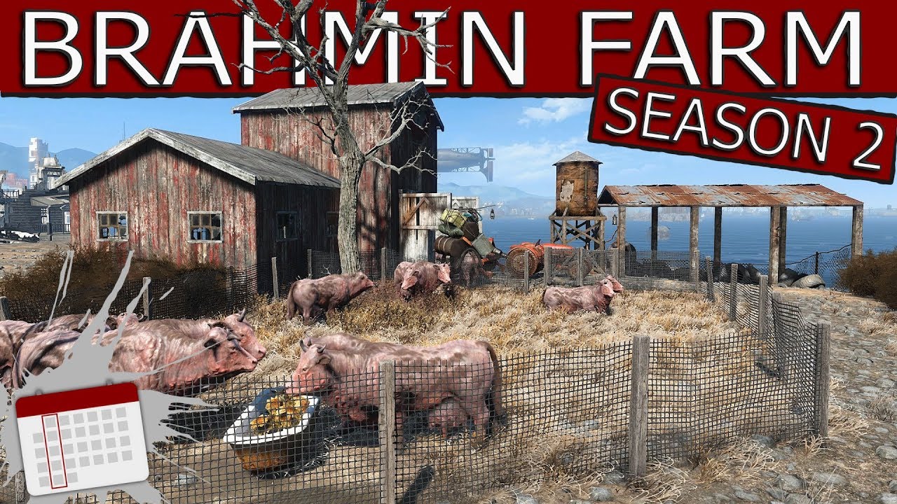 Строительство поселения в Fallout 4 - Ферма браминов