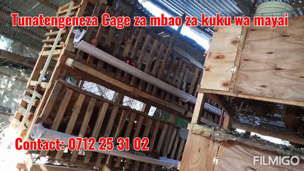 TUNAUZA NA KUTENGENEZA KEJI ZA KUKU WA MAYAI ZA MBAO | WE CONTRUCT TRADITIONAL POULTRY CAGE