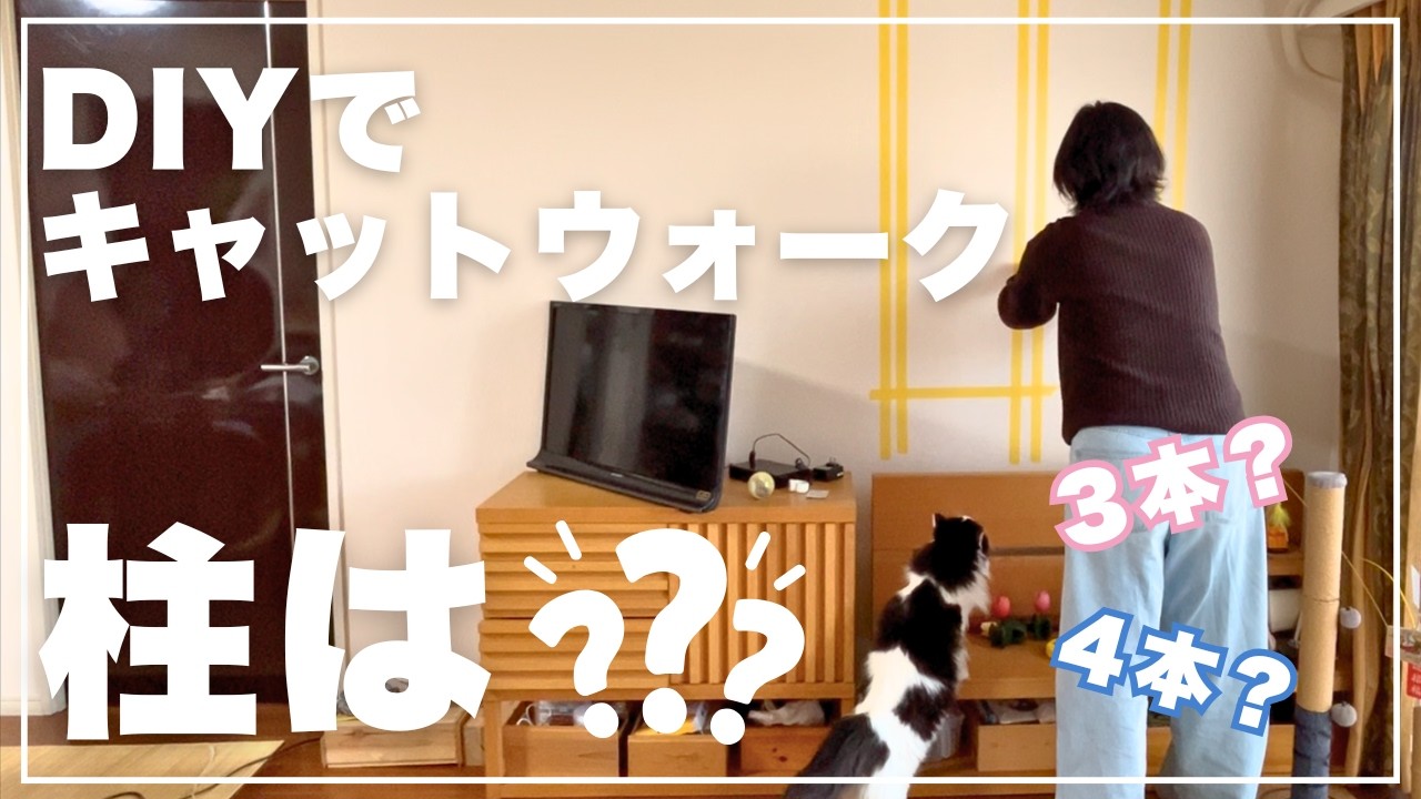 【至急】どっちがいい？愛猫のキャットウォーク設計で迷っています…皆さんの意見をください！｜ハチワレ猫｜ラグドール✖️マンチカンの男の子