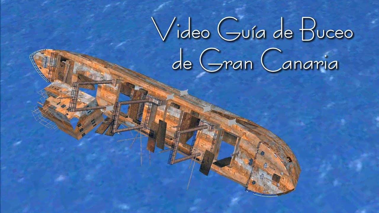 Video Guia De Buceo De Gran Canaria