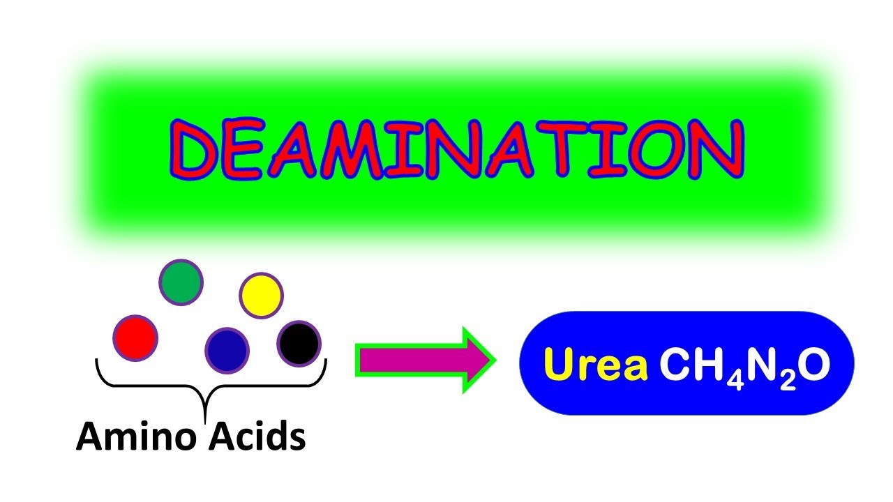 ДЕЗАМИНИРОВАНИЕ (УПРОЩЕНО)