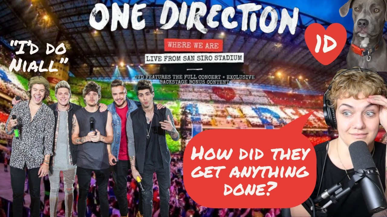 WHERE WE ARE - Live at San Siro and the Road To is a warm hug from One Direction