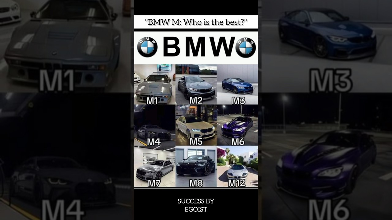 BMW M: The Lineup