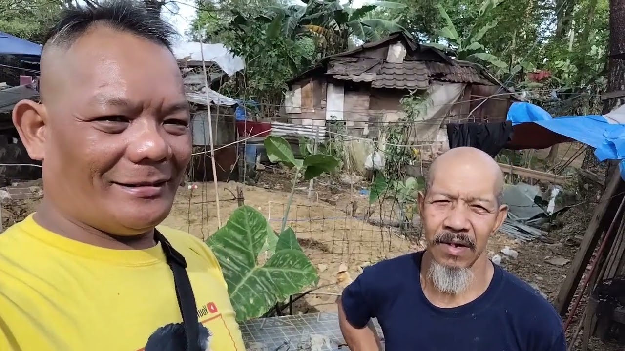 Damulag tomulong lang kuya boy mag pa tolfu