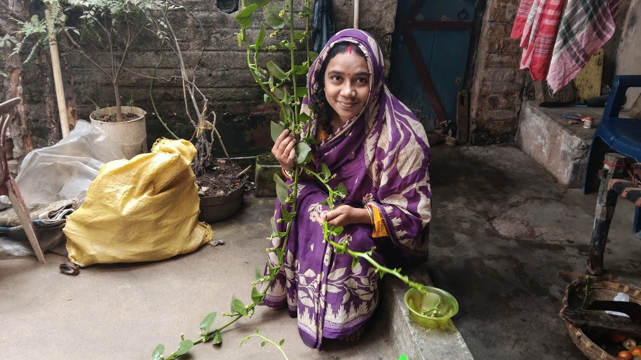 আজ বানালাম পুঁই মিচুড়ির চচ্চড়ি রান্না করলাম বাড়ির পুঁই গাছের#blog #cookingchannel #cookingvlog 