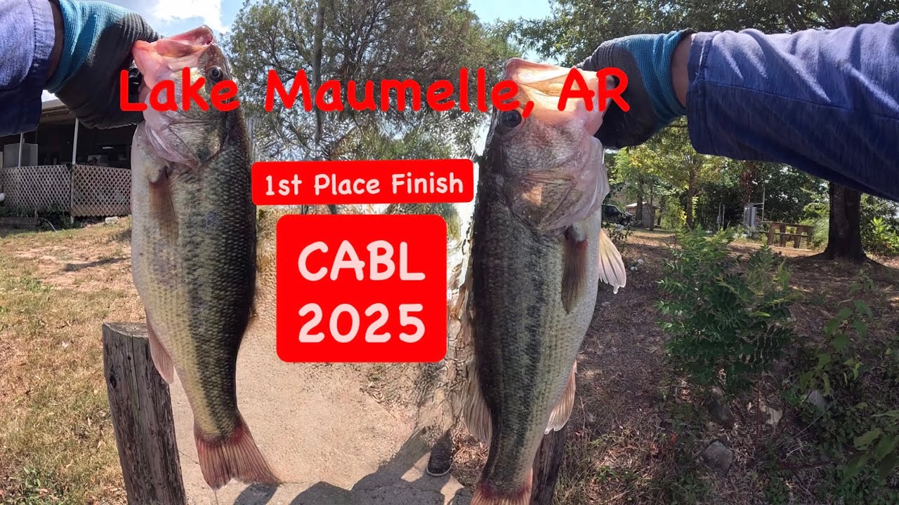 CABL STOP #7 LAKE MAUMELLE, AR | SOLO | 1st Place Finish #youtubeshorts #arkansas #bass