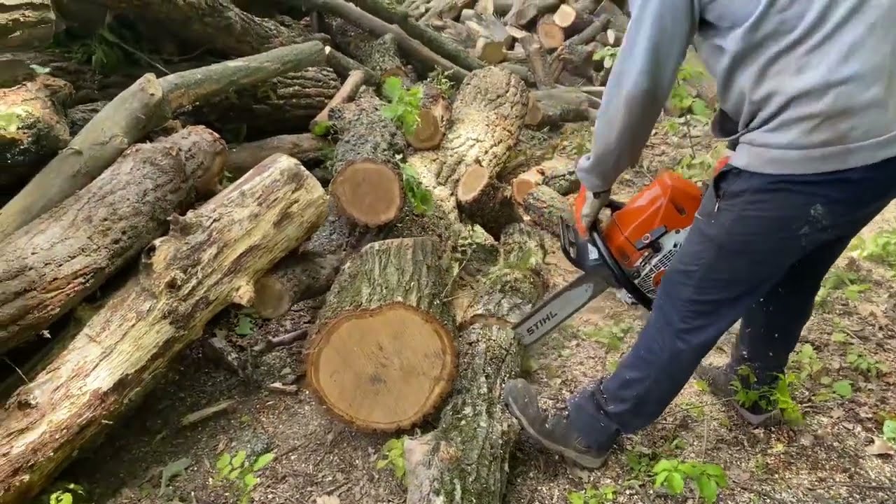 Chainsaw Cuts That Can Kill – Extreme Logging