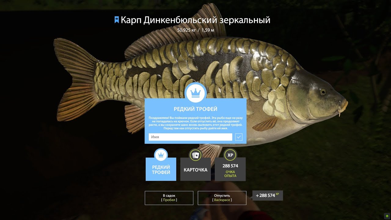 Редкий Трофей Карп Динкенбюльский 50 Кг - Русская Рыбалка 4