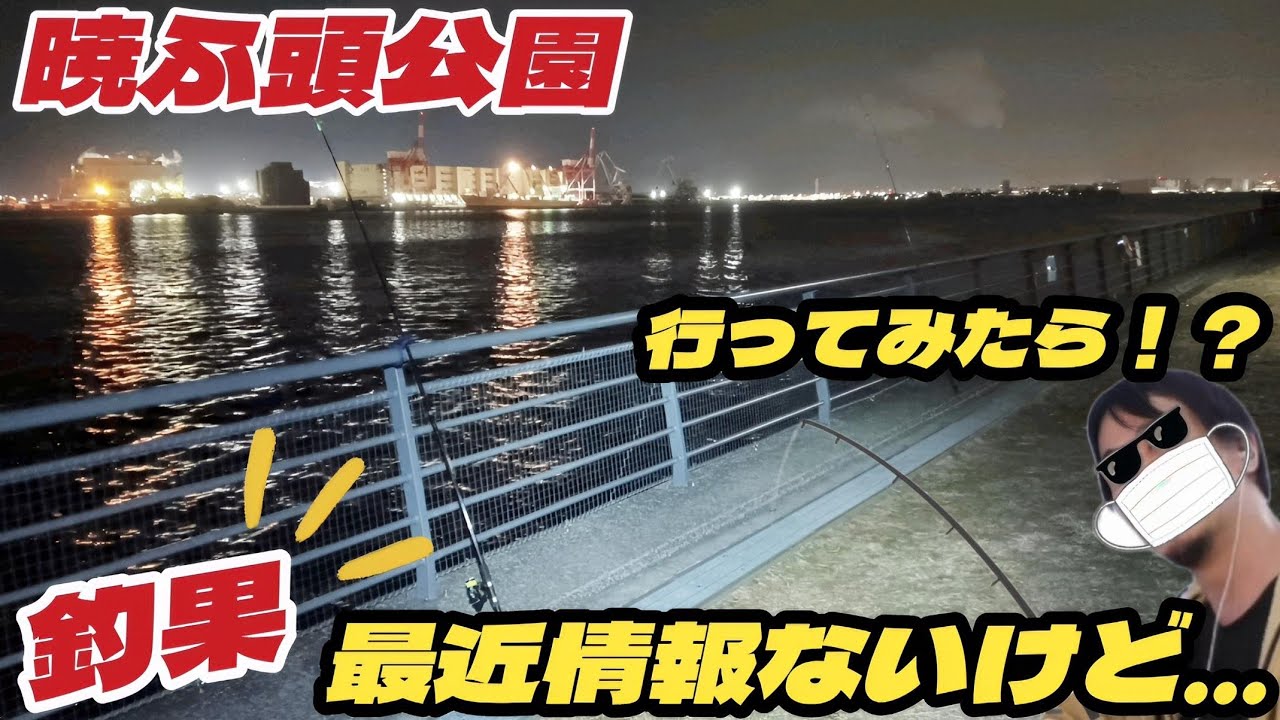 【暁ふ頭公園】2月下旬に何が釣れるか調査！