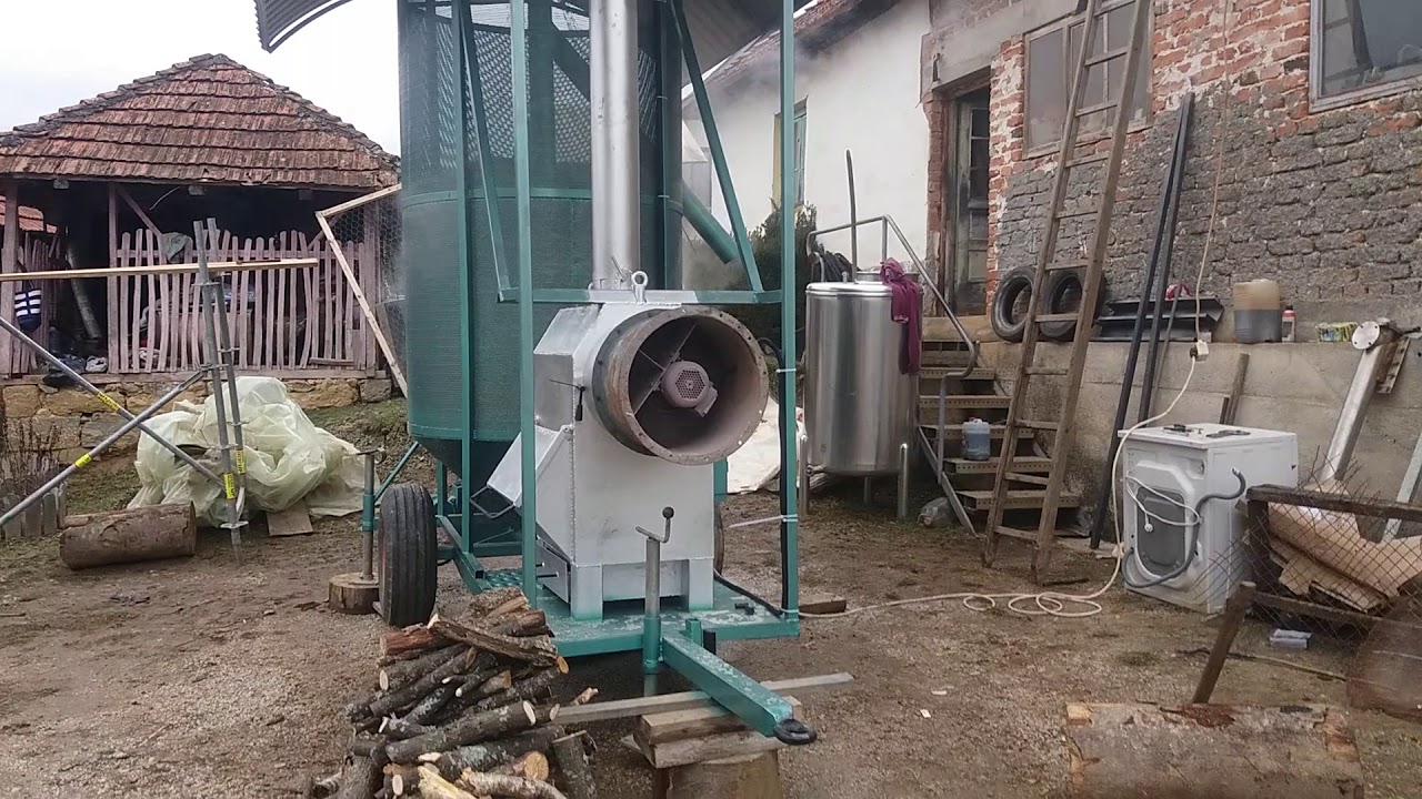 Sušenje kukuruza u Loretu.
