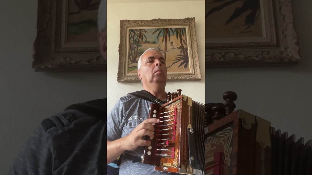 Cronin&rsquo;s. Hornpipe. Irish tradition. Melody A. 5-8 #lygeros #youtubeshorts #music #accordion