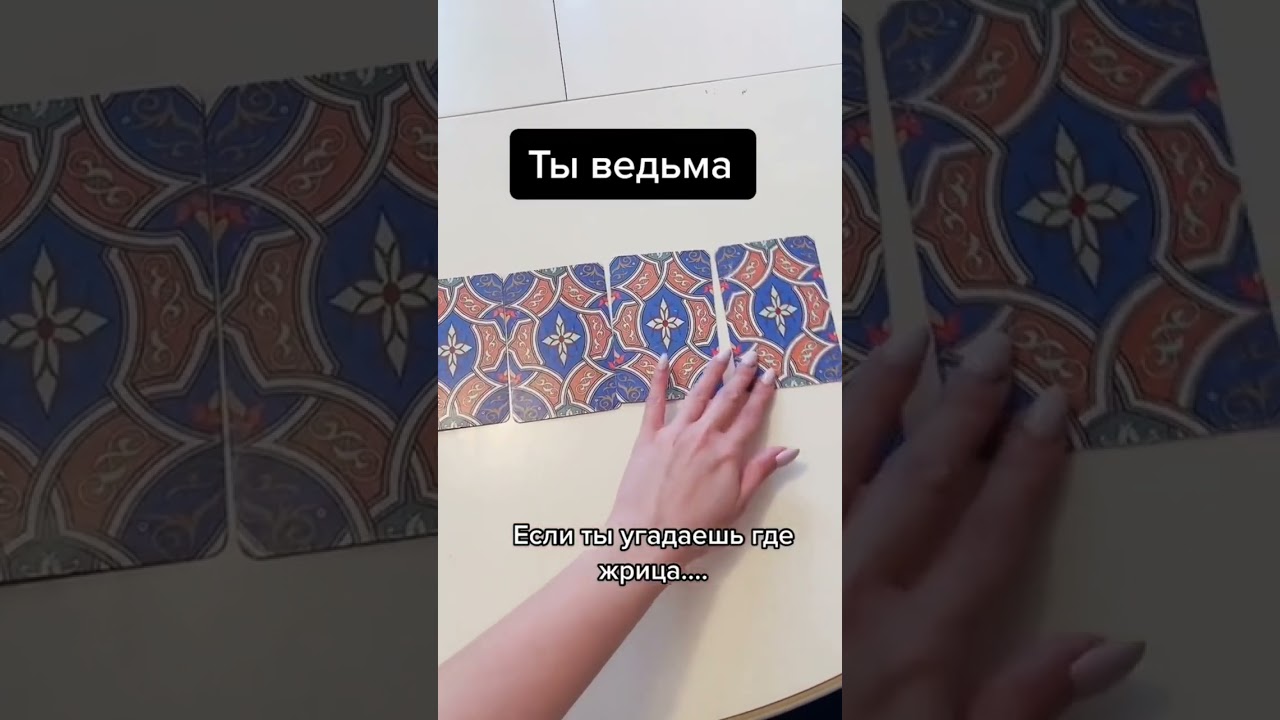 Угадали?#shots#shotshow2019#shotshow2018#shots_of_animals&nbsp;#shotshow&nbsp;#shotsbyyou_birds&nbsp;#shotsofafrica