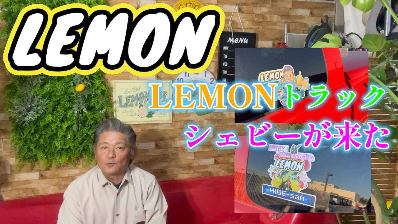 【シボレー紹介】レモン号のシェビーちゃんが来ました。