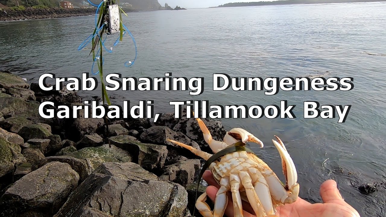 Crab Snaring Garibaldi Tillamook Jetty on the Oregon Coast