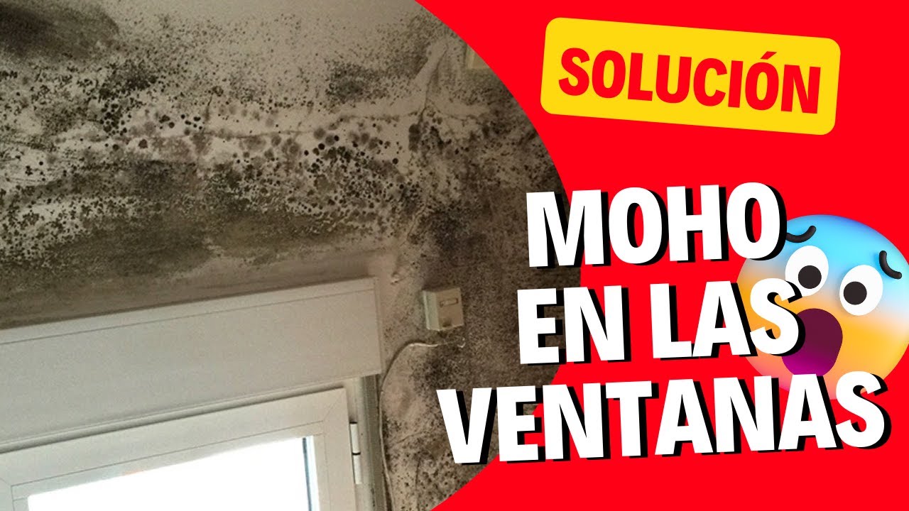 ¿Moho y humedad en tus ventanas? Descubre cómo erradicarlo para siempre