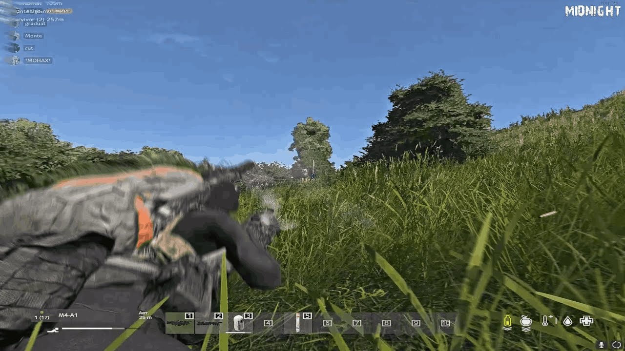 вышел с бана  #dayz #fragmovie #midnight