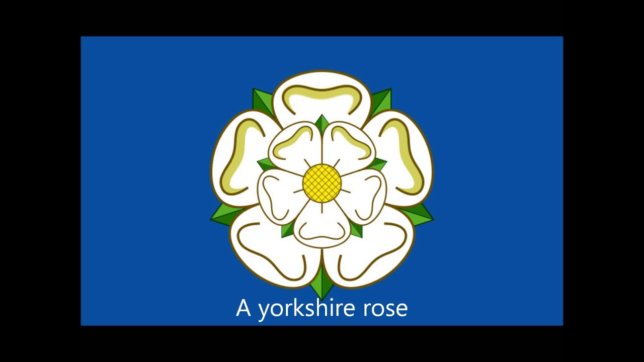 Yorkshire Rose