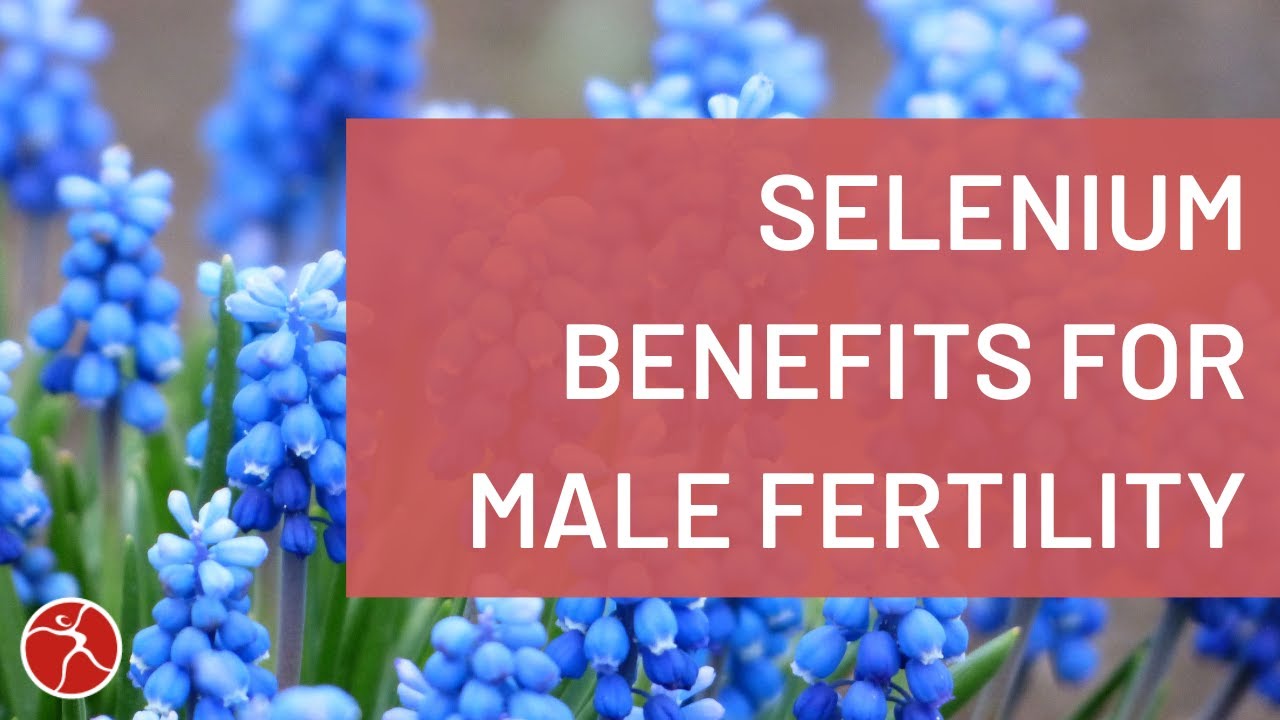 4 Selenium Benefits for Male Fertility