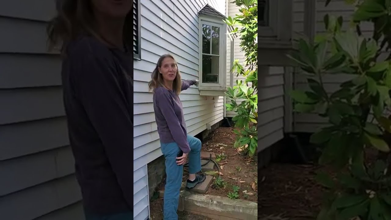 Time to Prune Overgrown Rhododendrons Blocking the Windows?